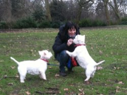 London Pet Services - Megan and Bronwen