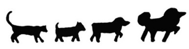 London Pet Services logo image